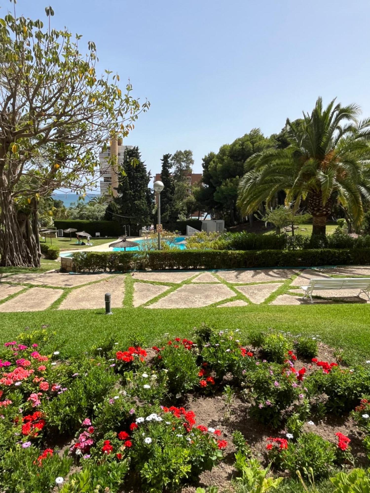 Parque La Chicharra Near Alicante And Beach Bagian luar foto