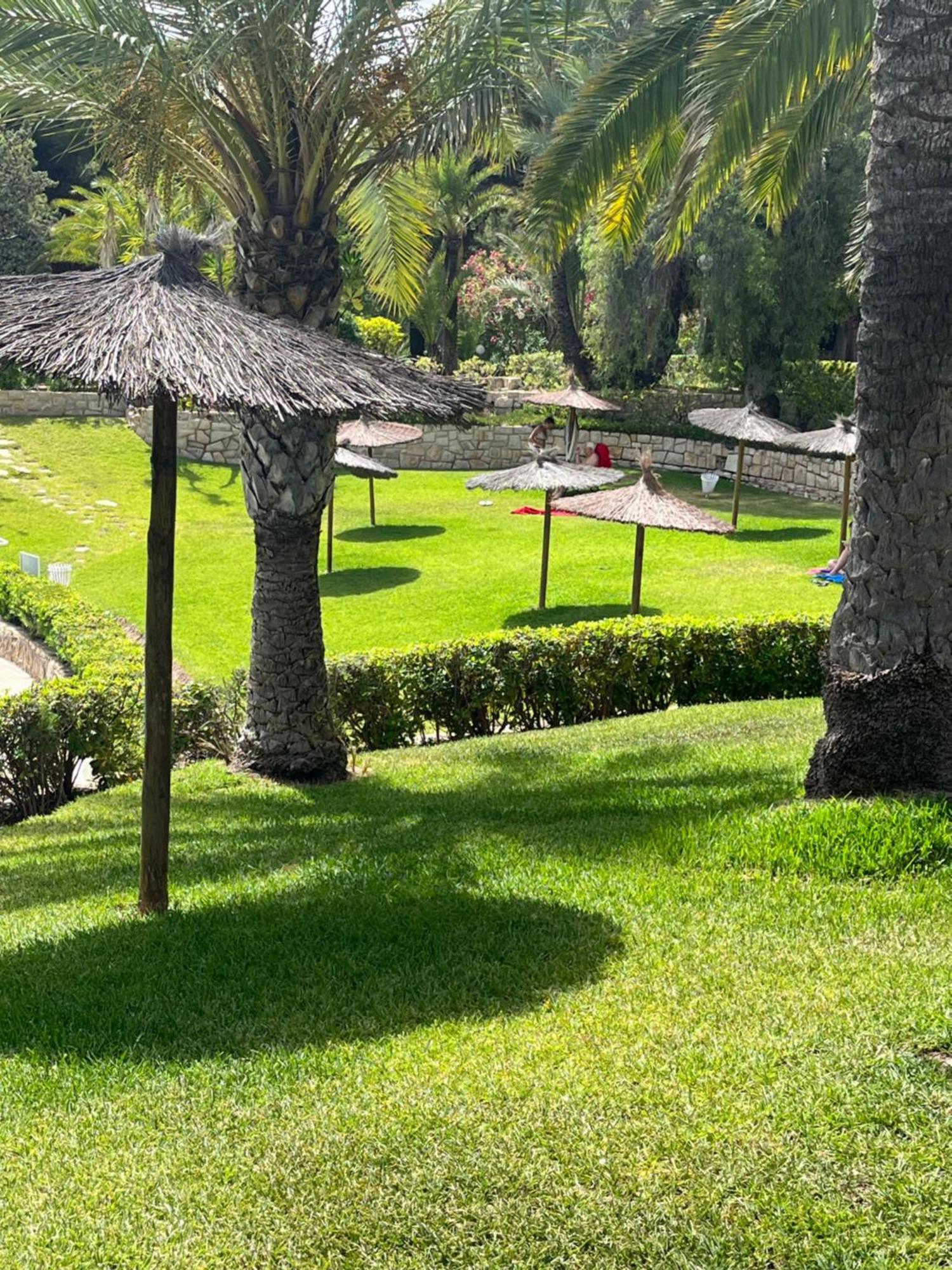 Parque La Chicharra Near Alicante And Beach Bagian luar foto