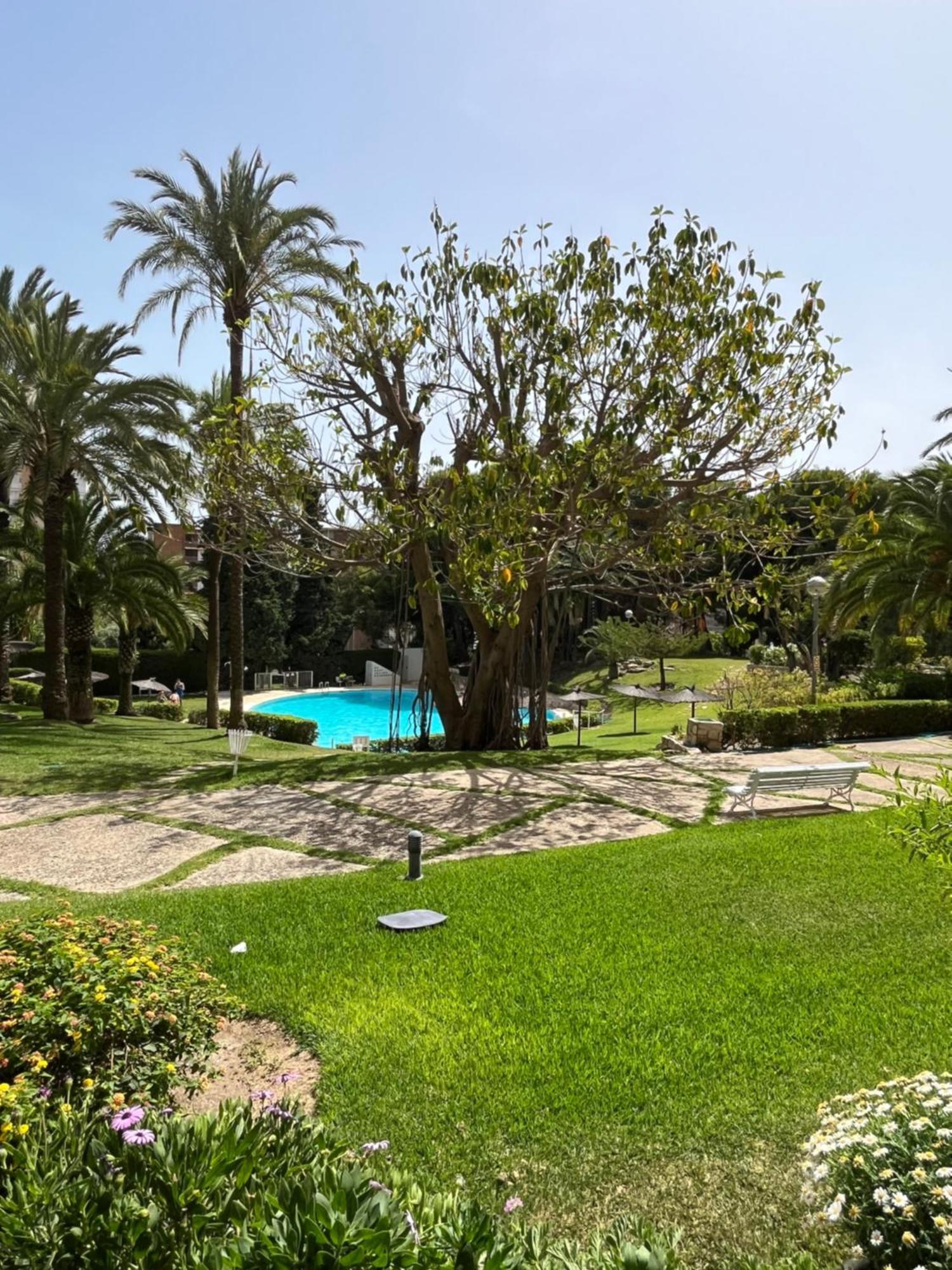 Parque La Chicharra Near Alicante And Beach Bagian luar foto